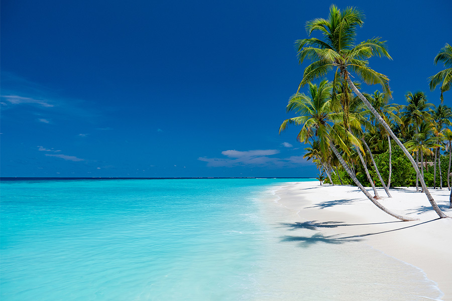 バリオーニ リゾート モルディブホテルイメージ [ モルディブ ]